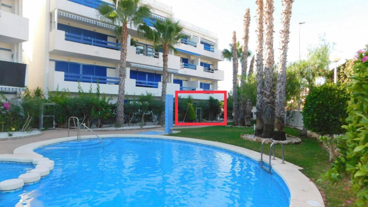 Coral House - La Calma - Playa Flamenca - Big Terrace & 4 Swimming Pools. Apartment Luaran gambar